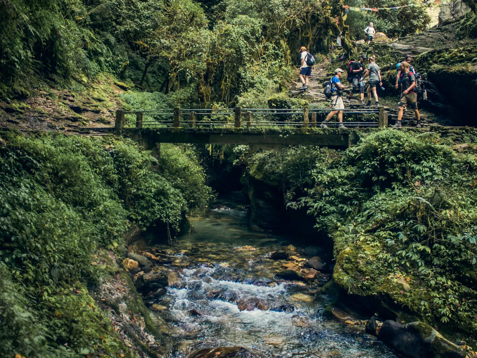 When Should You Actually Trek Nepal? A Season-by-Season Breakdown