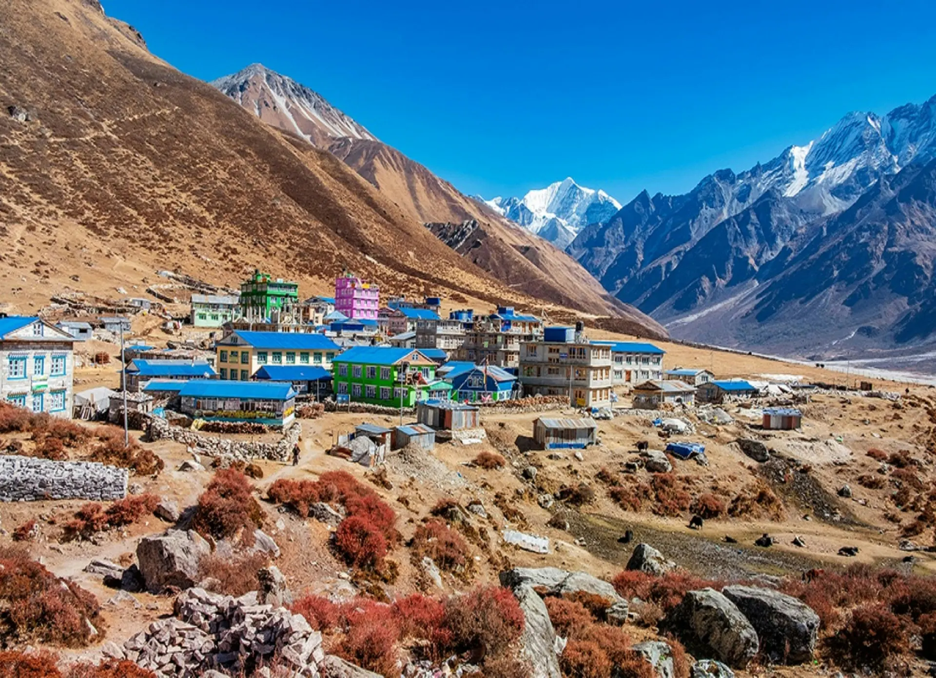 Langtang Valley